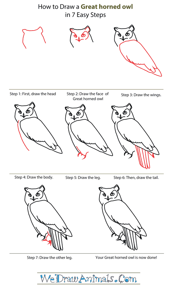 600x1000 How To Draw A Great Horned Owl - Owl Drawing Tutorial