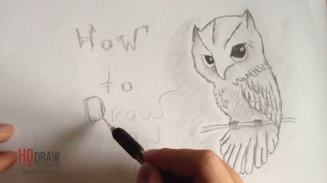 1280x720 How To Draw An Owl With A Pencil Step - Owl Drawing Tutorial