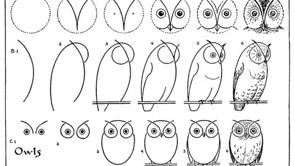 585x329 How To Draw An Owl - Owl Drawing Tutorial