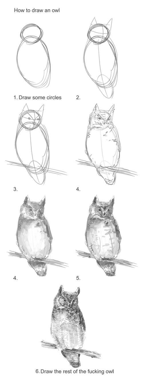 Owl Drawing Tutorial At Paintingvalley Com Explore Collection Of