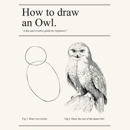 450x450 Jonathan Shariat On Twitter - Owl Drawing Tutorial