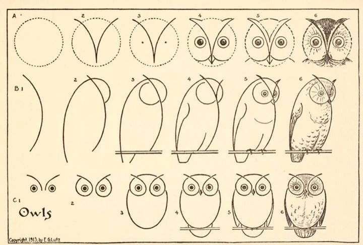 720x487 Draw Tutorials Tutorials Drawing - Owl Drawing Tutorial