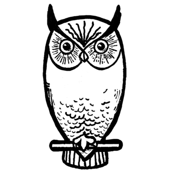 350x350 How To Draw Owls With Step - Owl Drawing Tutorial