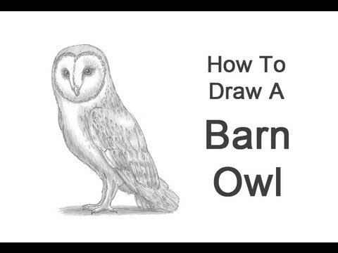 480x360 How To Draw A Barn Owl - Owl Drawing Tutorial