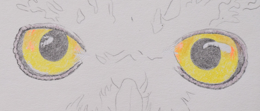 1024x436 how to draw owl eyes - Owl Eyes Drawing