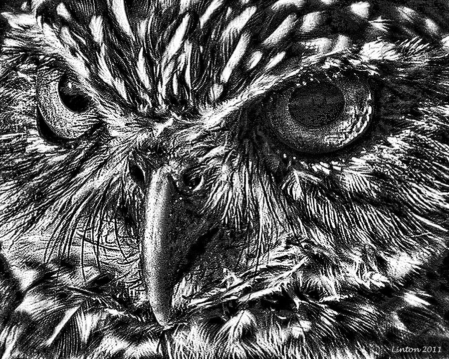 900x720 owl eyes digital art - Owl Eyes Drawing