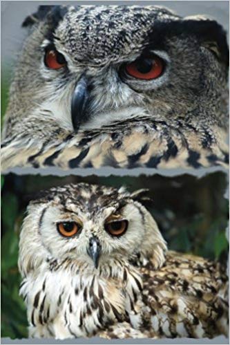 333x499 owl eyes journal log doodle sketch drawing note book - Owl Eyes Drawing