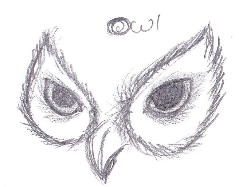 778x608 owl eyes drawing microsoft windows photo gallery - Owl Eyes Drawing