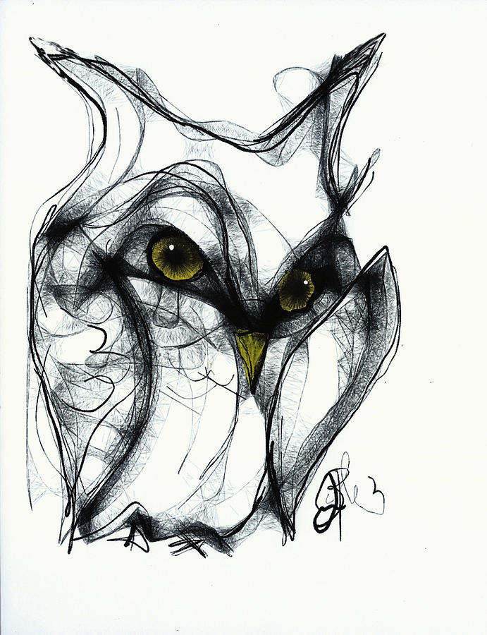 691x900 owl eyes drawing - Owl Eyes Drawing