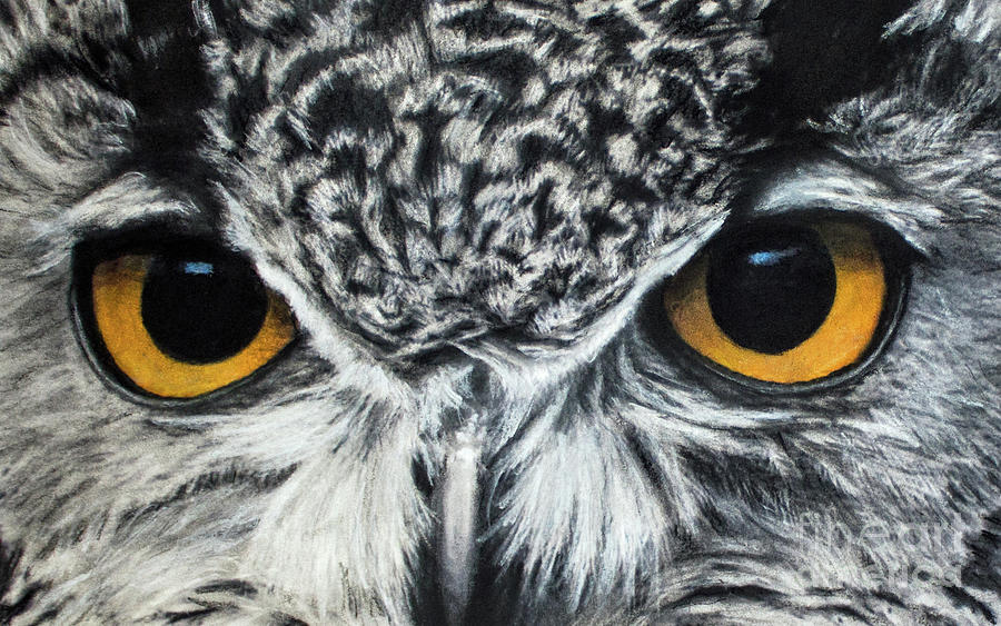 900x563 owl eyes drawing - Owl Eyes Drawing