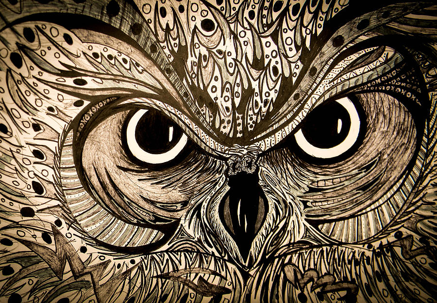 900x625 owl eyes drawing - Owl Eyes Drawing