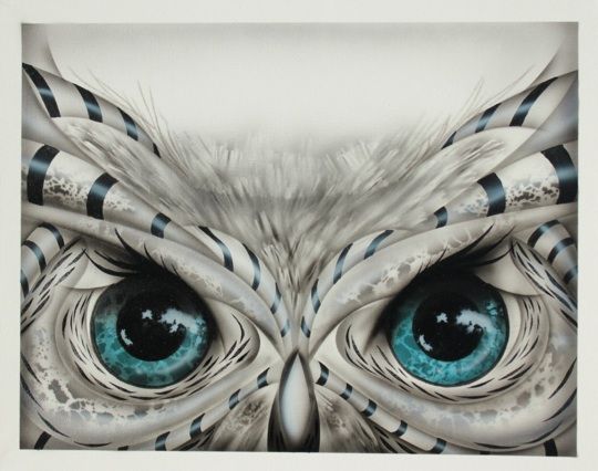 540x426 owl eyes drawing - Owl Eyes Drawing