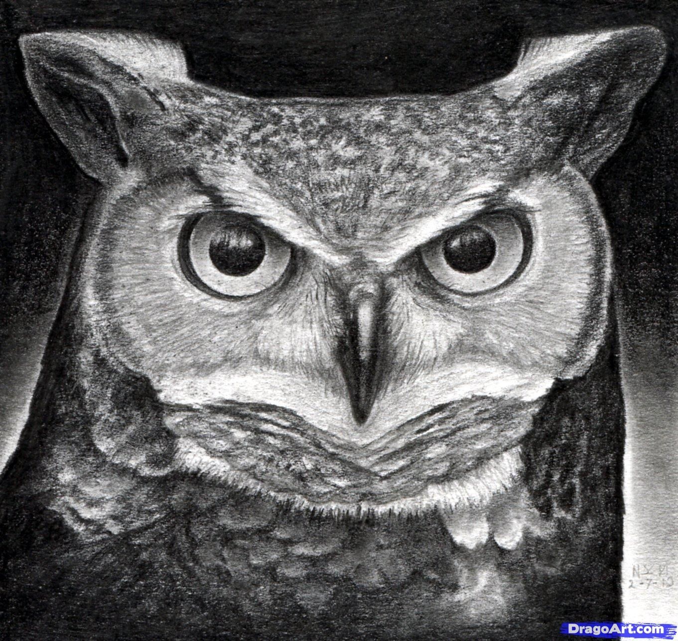 1361x1287 owl eyes green o w l s bird drawings, owl art, horned owl - Owl Eyes Drawing