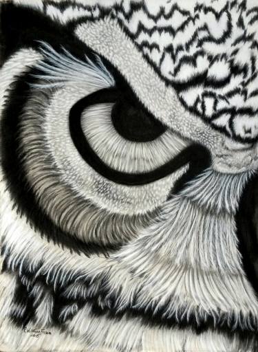 375x512 right owl eye drawing - Owl Eyes Drawing
