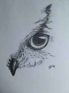 225x300 wildlife pencil drawing owl eye ebay - Owl Eyes Drawing