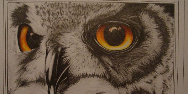 600x300 Owl Eye Splendid Pencil Drawings How To Birds Pencil - Owl Eyes Drawing