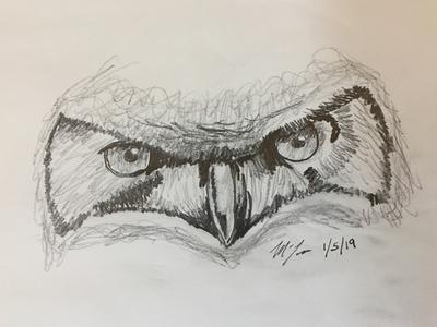 400x300 first drawing of owl eyes - Owl Eyes Drawing