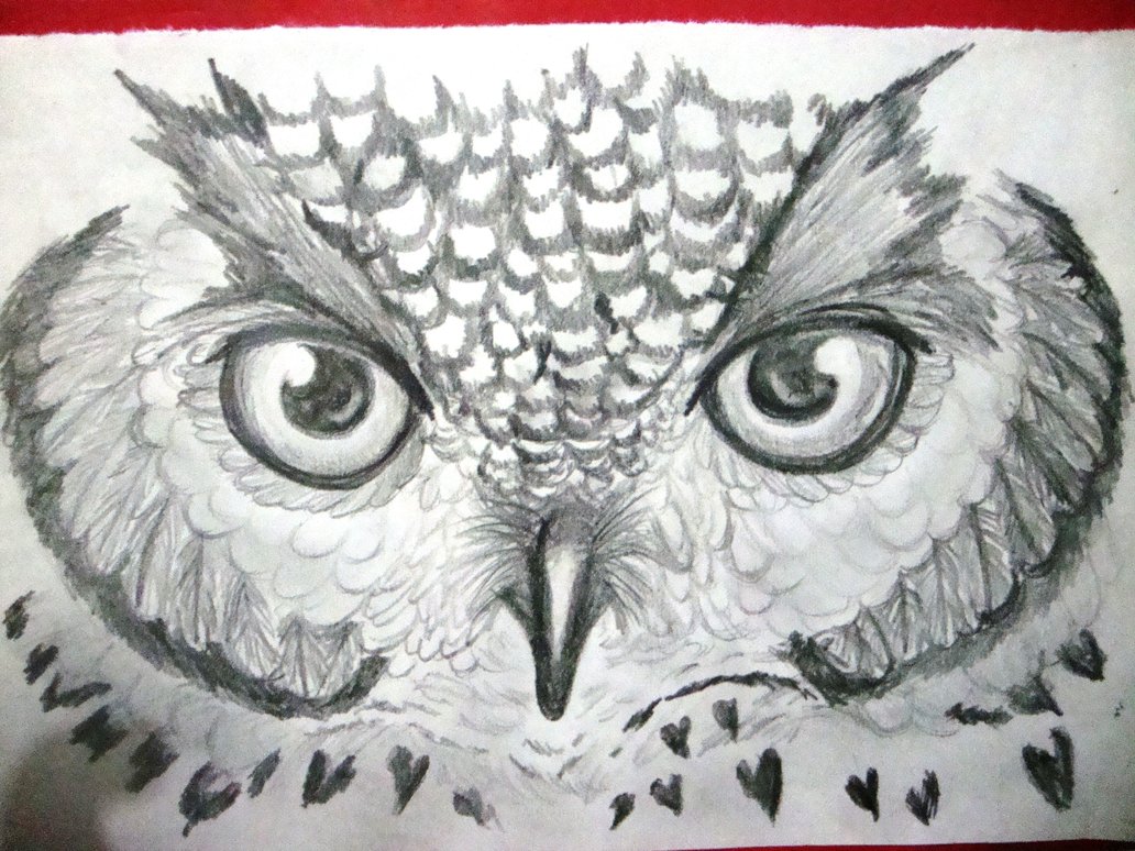1032x774 happy owl eyes drawing - Owl Eyes Drawing