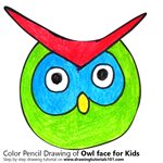 150x150 Learn How To Draw An Owl Face For Kids - Owl Face Drawing