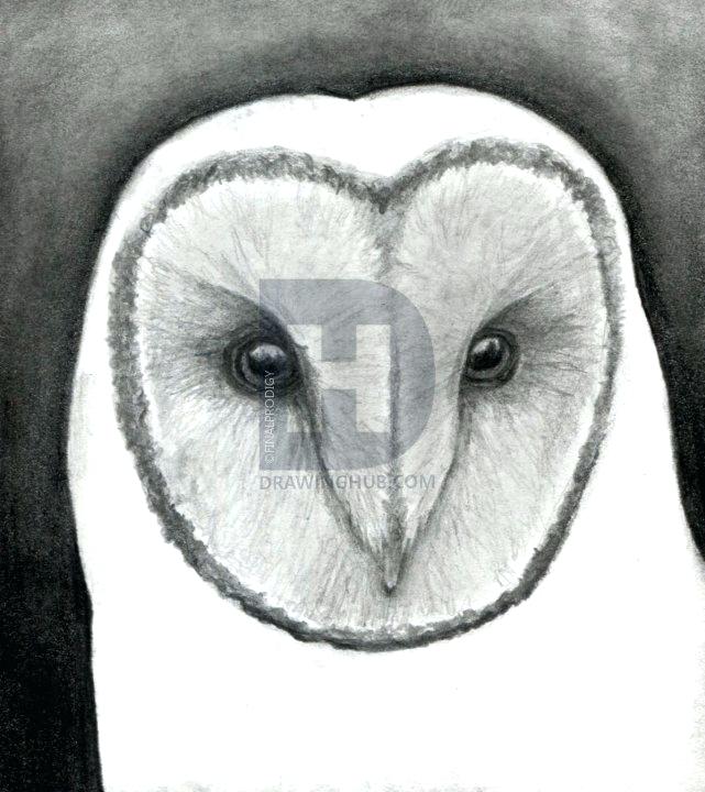 641x720 owl outline drawing owl outline cartoon owl outline drawing - Owl Face Drawing