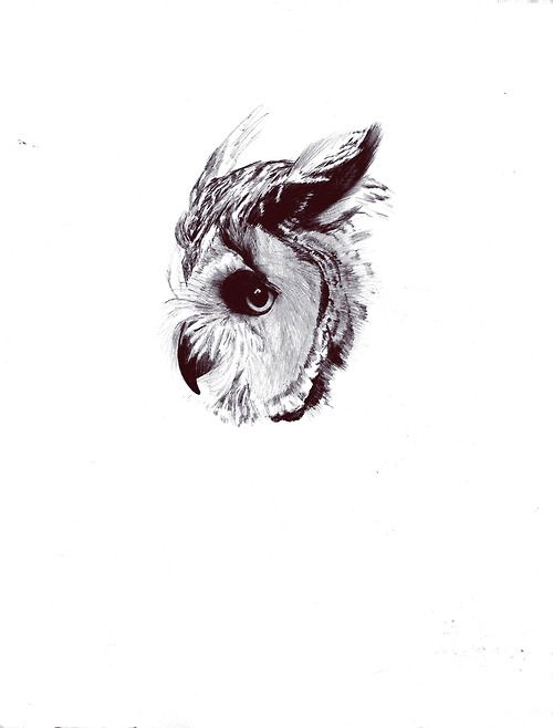 500x658 Simple Drawing Of Owl Face Tattoo - Owl Face Drawing