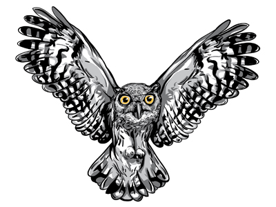 400x300 flying owl - Owl Flying Drawing