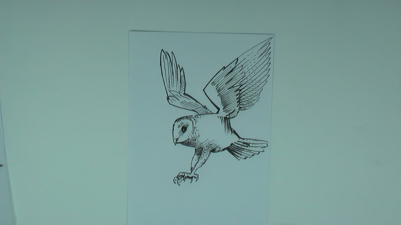 1280x720 how to draw a flying owl - Owl Flying Drawing
