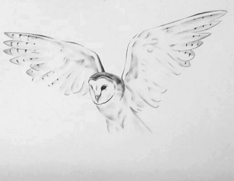794x616 original flying barn owl pencil and etsy - Owl Flying Drawing