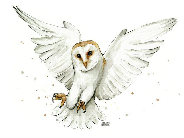 Owl Flying Drawing at PaintingValley.com | Explore collection of Owl ...