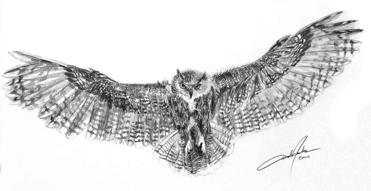 1200x618 Eagle Owl In Flight Drawing On Behance - Owl Flying Drawing