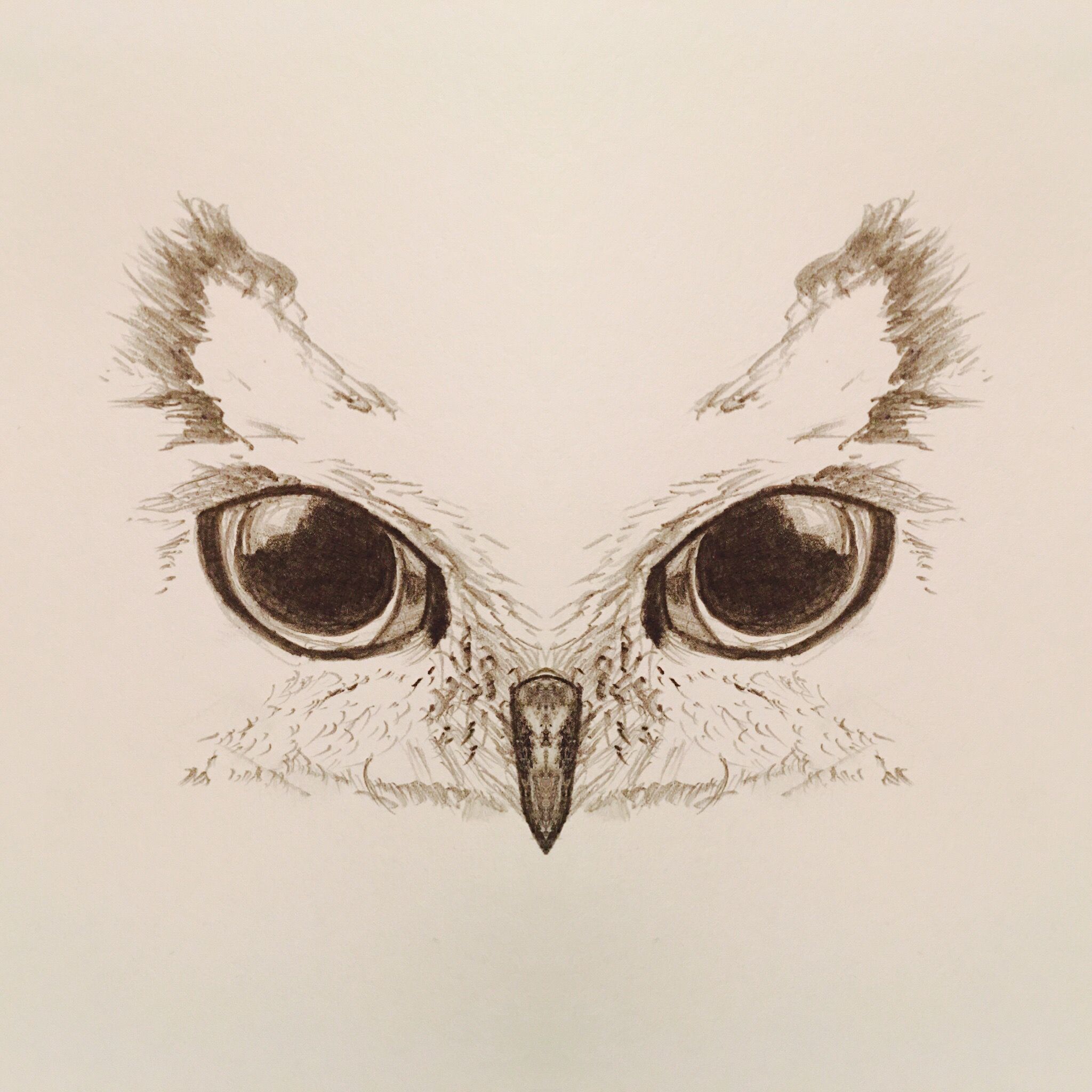 Owl Head Drawing at Explore collection of Owl Head