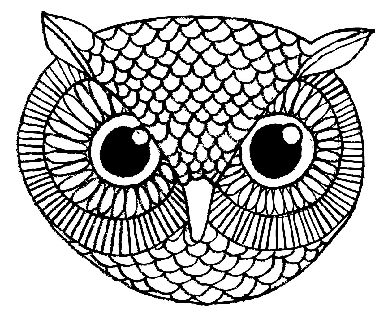 1254x1029 Owl Head Drawing - Owl Head Drawing
