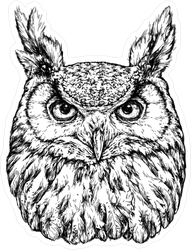 191x250 Owl Head Illustration Sticker - Owl Head Drawing