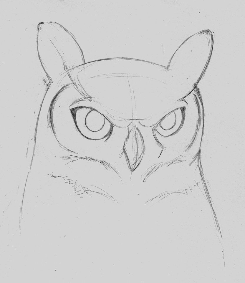 832x961 owls tilted head drawing great horned owl head - Owl Head Drawing