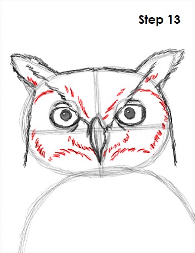 386x500 How To Draw An Owl - Owl Head Drawing