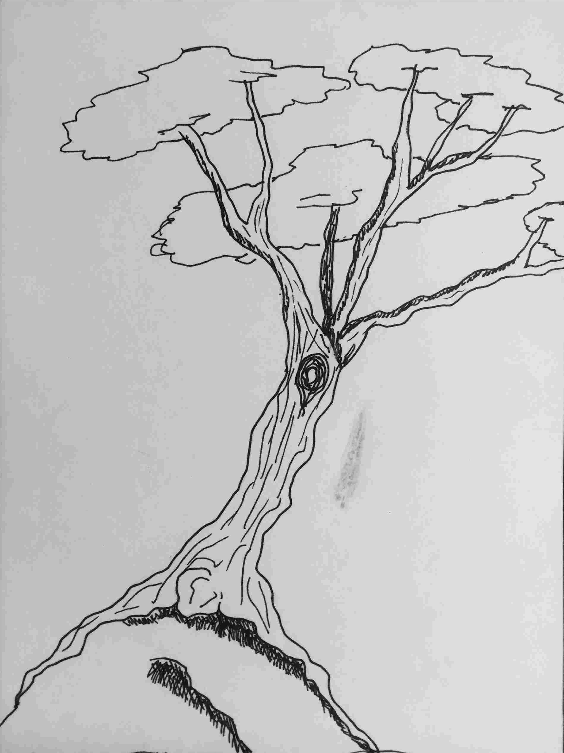 1899x2533 Owl In Tree Drawing - Owl In A Tree Drawing