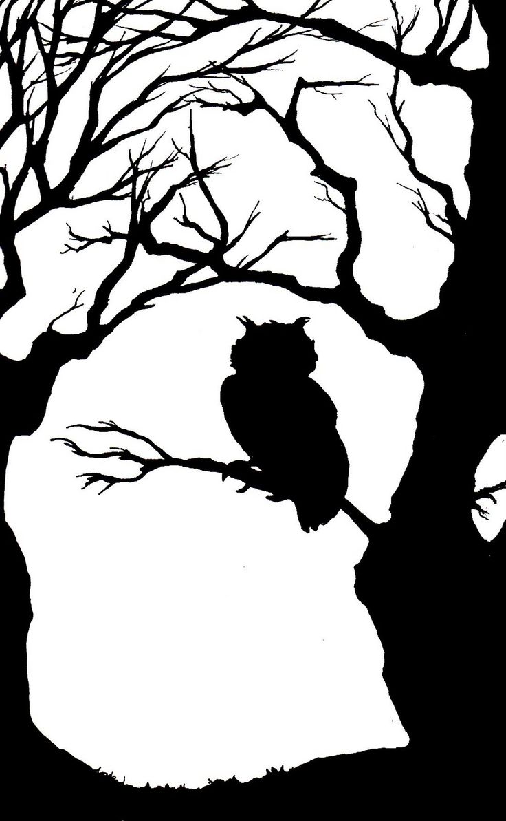 736x1193 owl in tree silhouette great free clipart, silhouette, coloring - Owl In A Tree Drawing