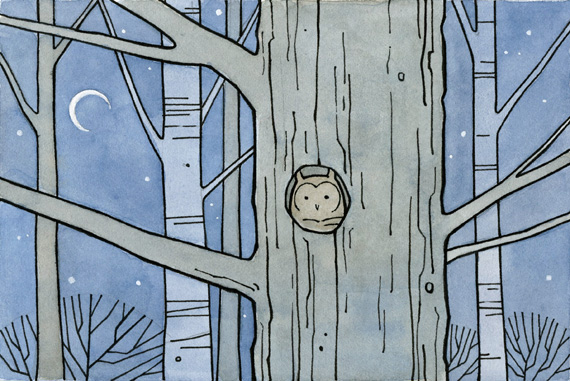 570x381 Owl In Tree Trunk Owls - Owl In A Tree Drawing