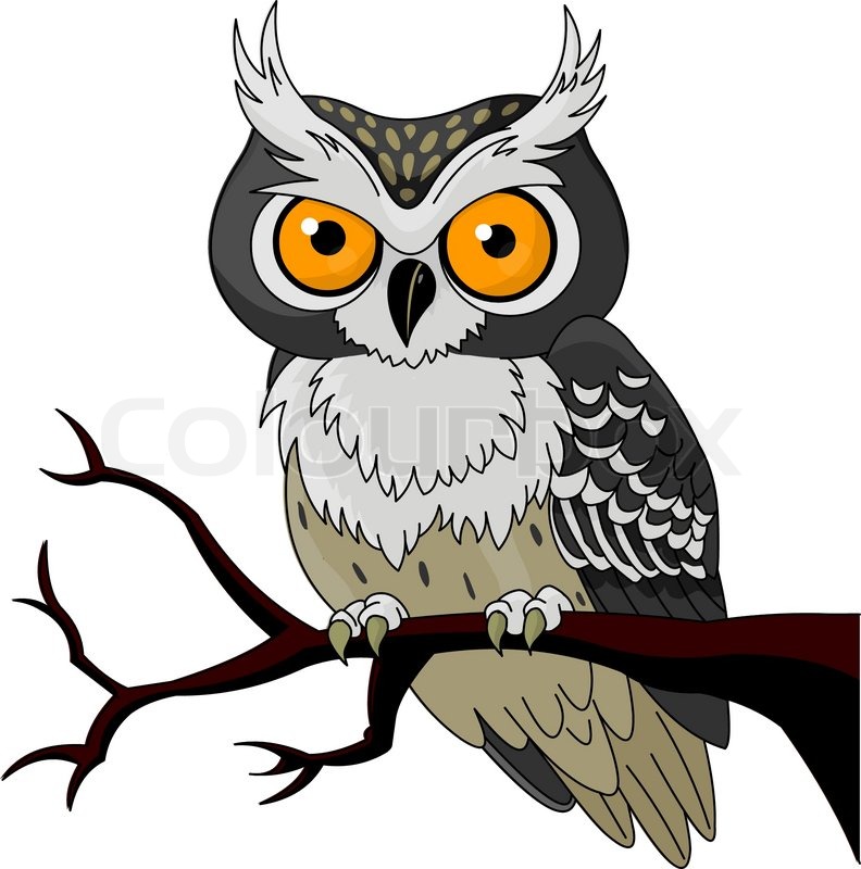 792x800 Owl Sitting Upon A Tree Branch Stock Vector Colourbox - Owl In A Tree Drawing