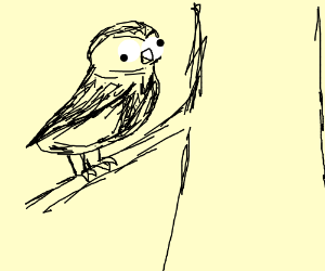 300x250 Derpy Owl In A Tree Drawing - Owl In A Tree Drawing