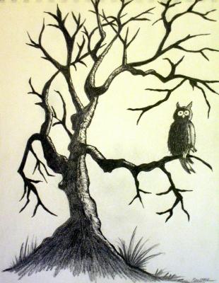 310x400 Aesthetic Owl In Tree Drawing - Owl In A Tree Drawing