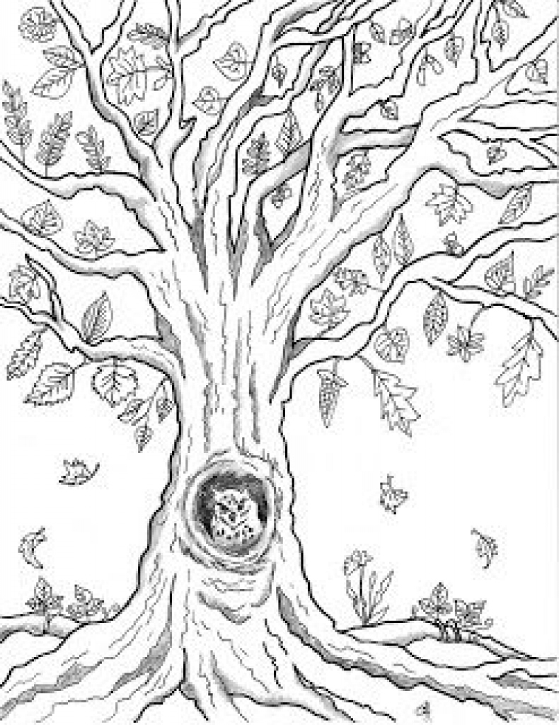 Owl In A Tree Drawing at Explore collection of Owl