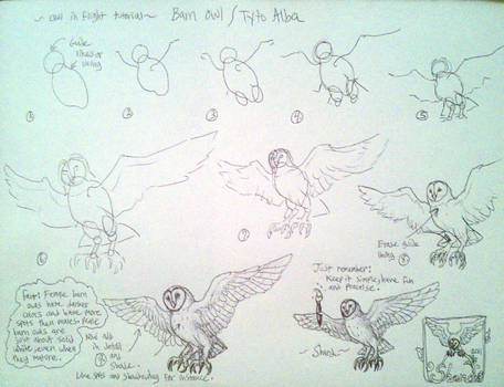 456x350 line draw barn owl in flight tutorial - Owl In Flight Drawing
