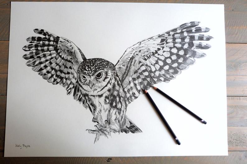 794x529 little owl in flight original graphite pencil drawing etsy - Owl In Flight Drawing
