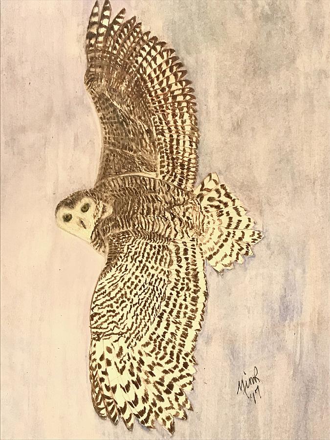 675x900 owl in flight drawing - Owl In Flight Drawing