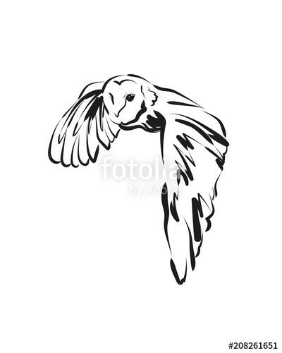 400x500 vector sketch flying owl stock image and royalty free vector - Owl In Flight Drawing
