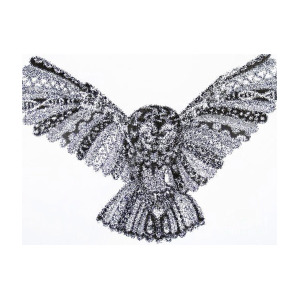 300x300 wooly owl in flight drawing - Owl In Flight Drawing