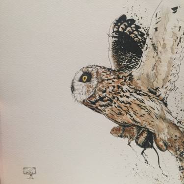 375x375 coffee owl in flight drawing - Owl In Flight Drawing