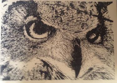 375x266 flight of the eagle owl drawing - Owl In Flight Drawing
