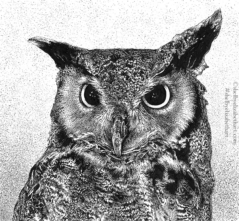 800x738 great horned owl ink drawing - Owl Ink Drawing
